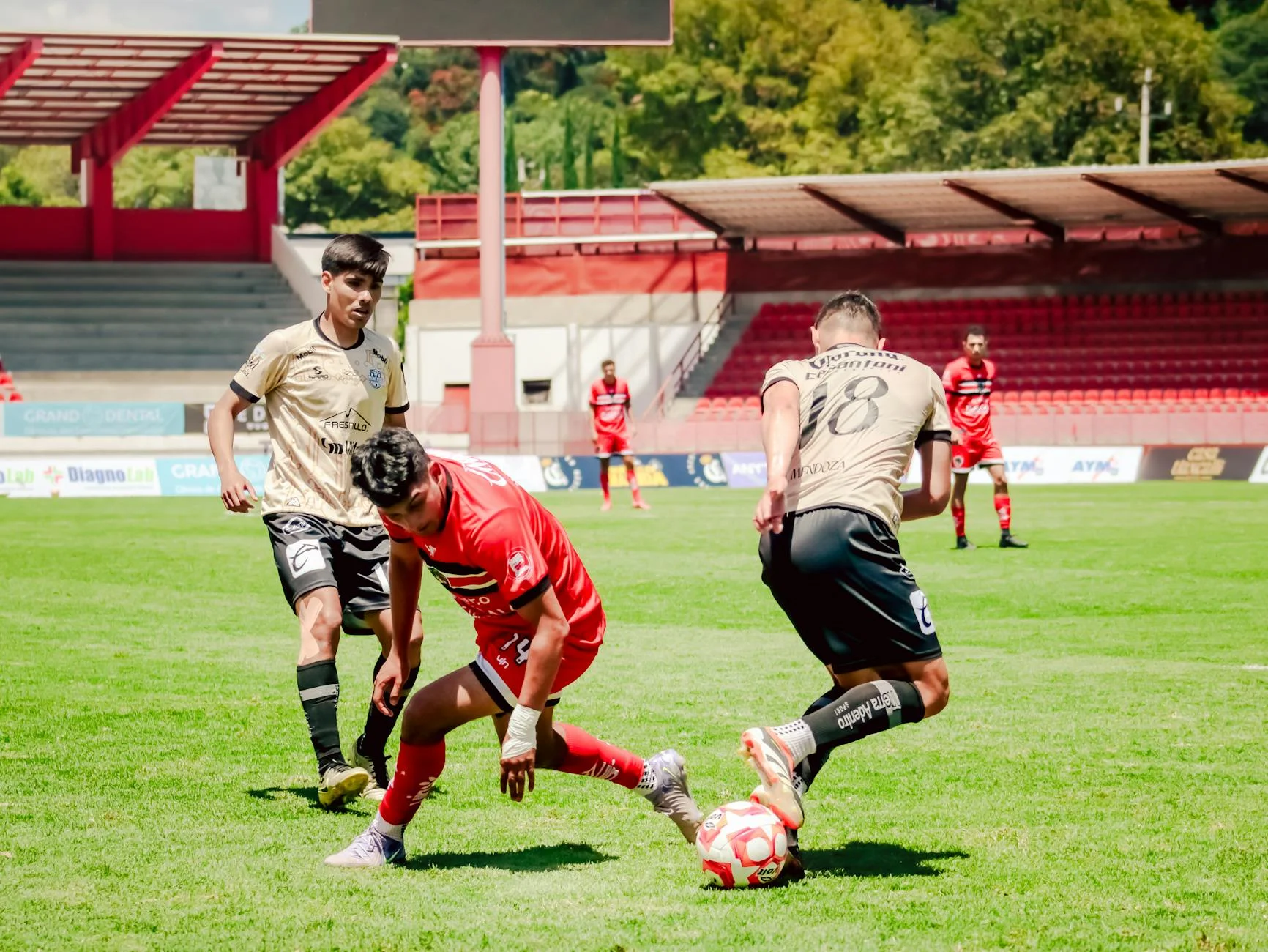 King Power Stadium Atmosphere During Crucial Promotion Matches