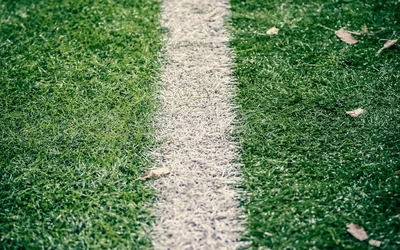 Foxes Fan Culture Premier League