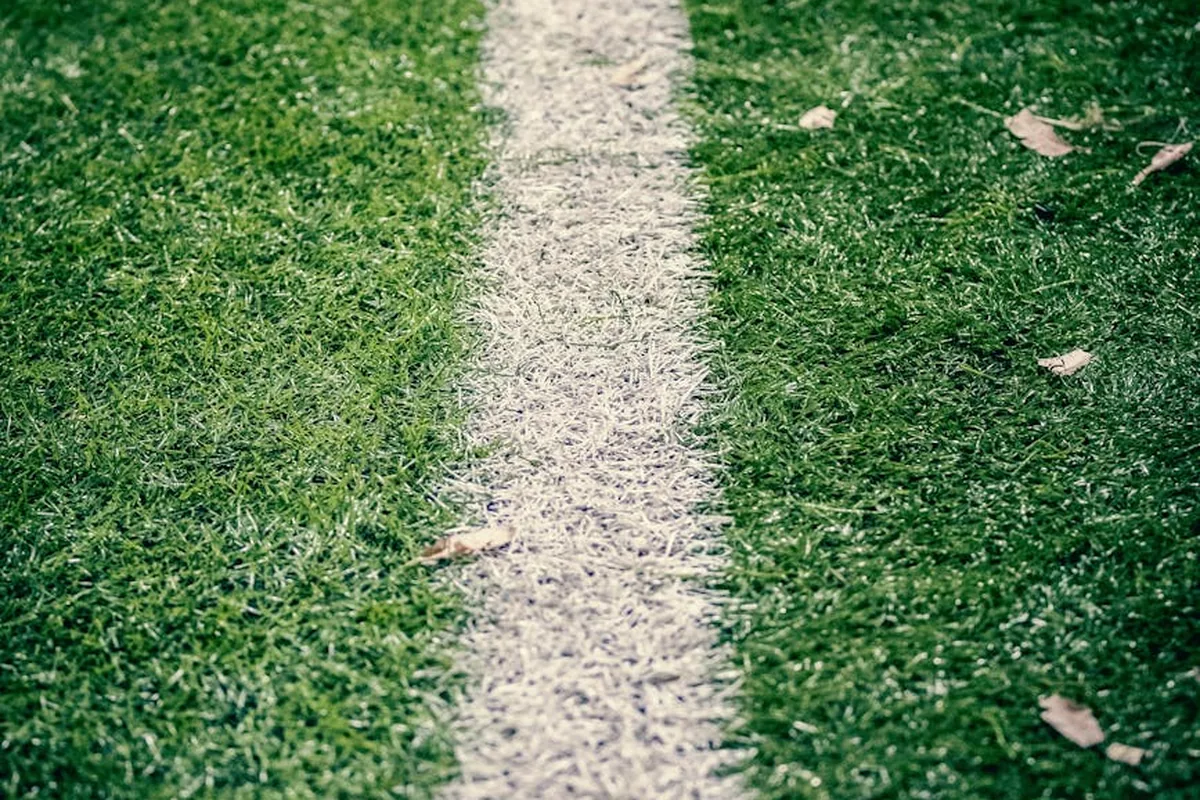 Foxes Fan Culture Premier League