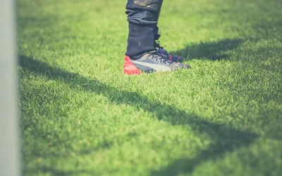 Leicester Player Ratings Premier League Campaign