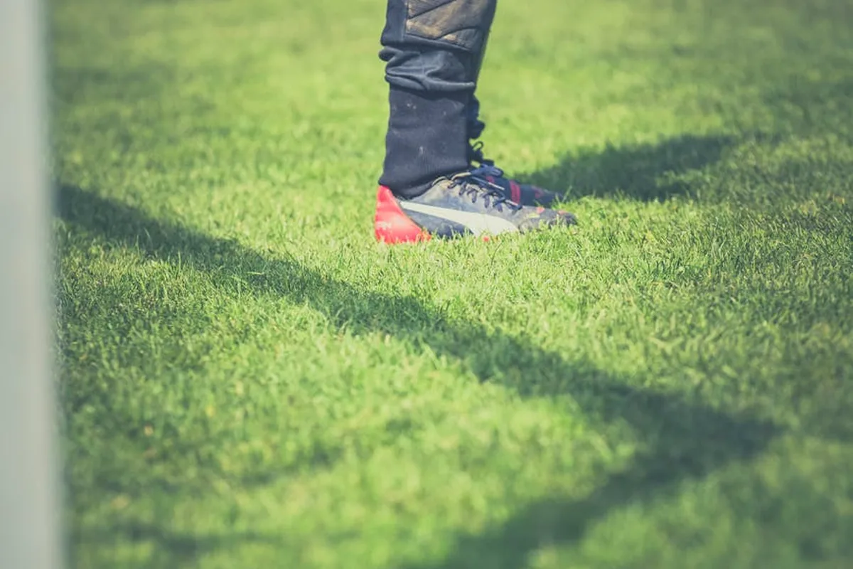 Leicester Player Ratings Premier League Campaign