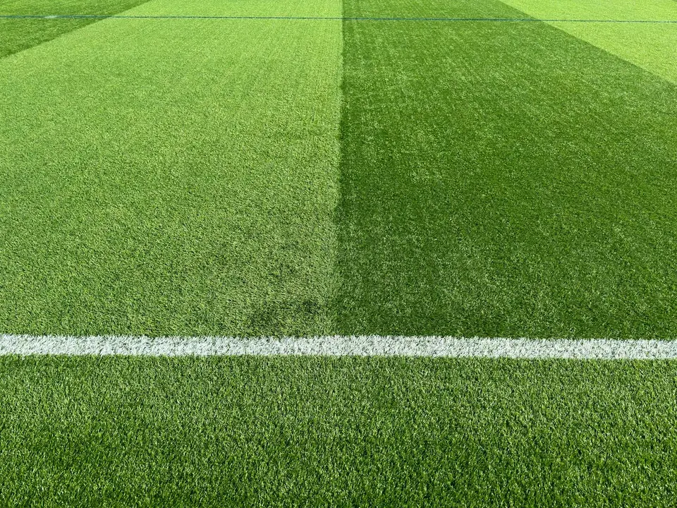 How Fan Culture and Support Fueled the Promotion Season