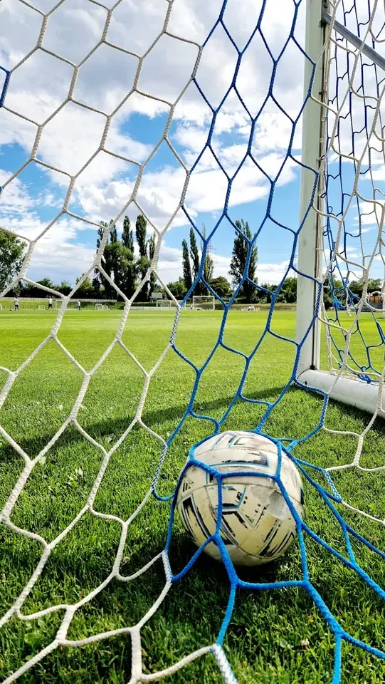 Leicester City Transfer Window Impact: Stats of New Signings This Season